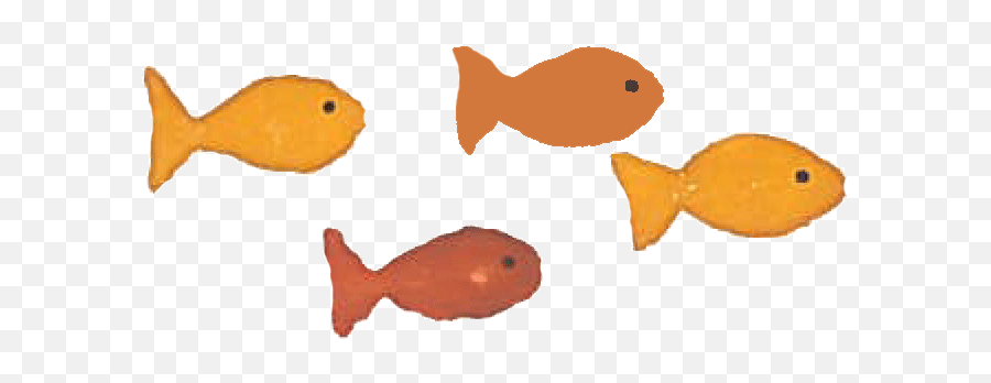 Always Too Quick - Cartoon Fish Gif Png,Cartoon Fish Transparent Background