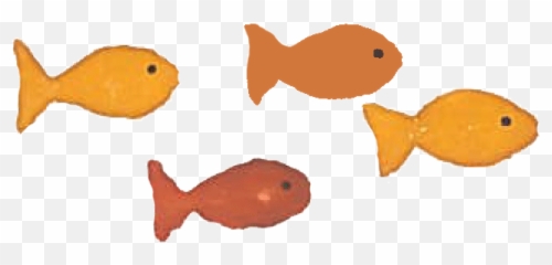 Always Too Quick - Cartoon Fish Gif Png