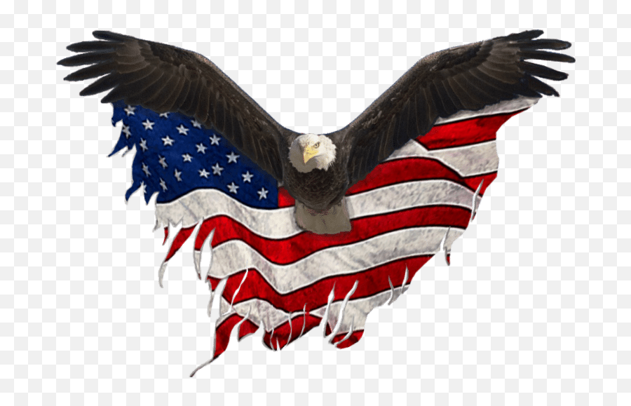 Eagle Hot Shot Transport Service 918 884 - 9421 Eagle United States Png,Eagle Logo Transparent