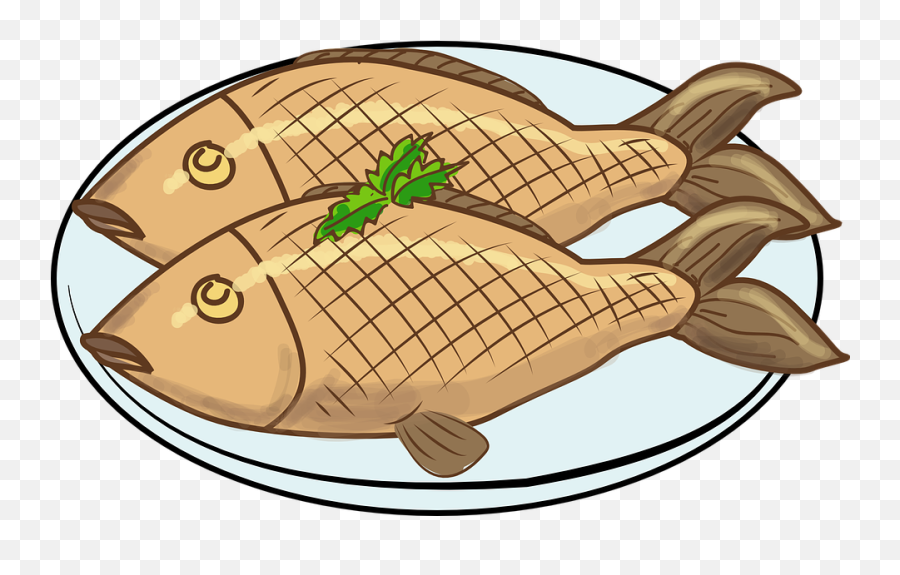 feed fish clipart