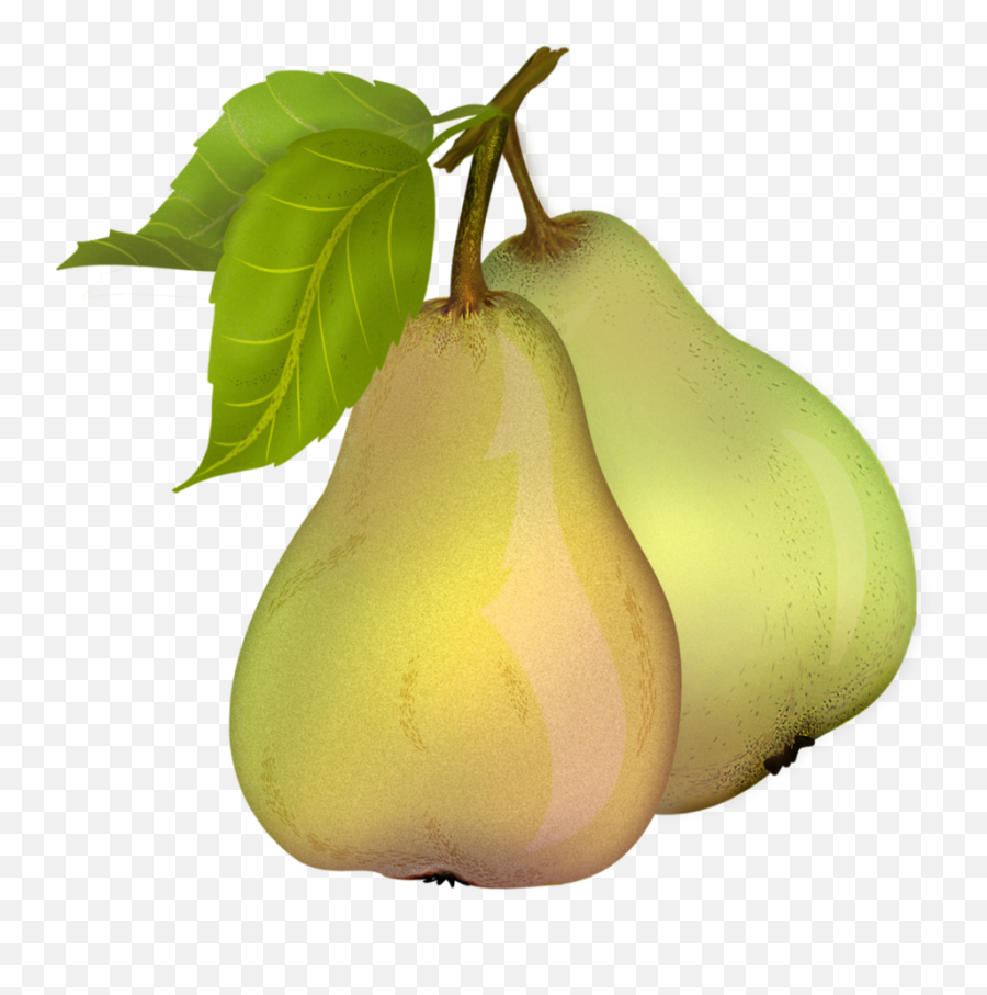 Pear Free Download Png - Pear Clipart Transparent Background,Pear Png