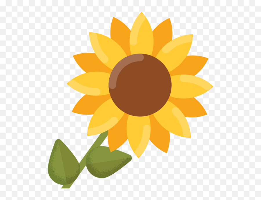 Common Sunflower Clip Art - Sun Flower Png Download 618 Sunflower Clipart Transparent Background,Sun Flower Png