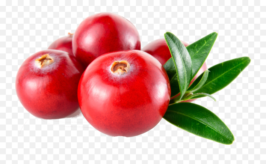 Download For A Healthy Lifestyle - Cranberry Png,Cranberry Png