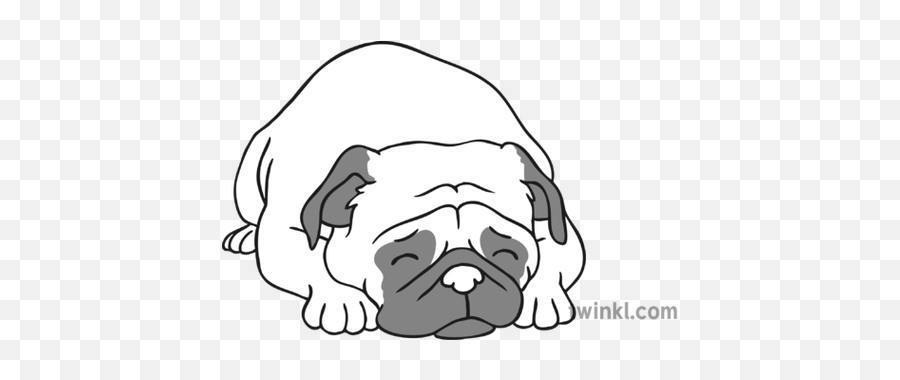 Unhappy Dog Pug Black And White Illustration - Twinkl Twinkl Pug Colouring Pages Png,Pug Png