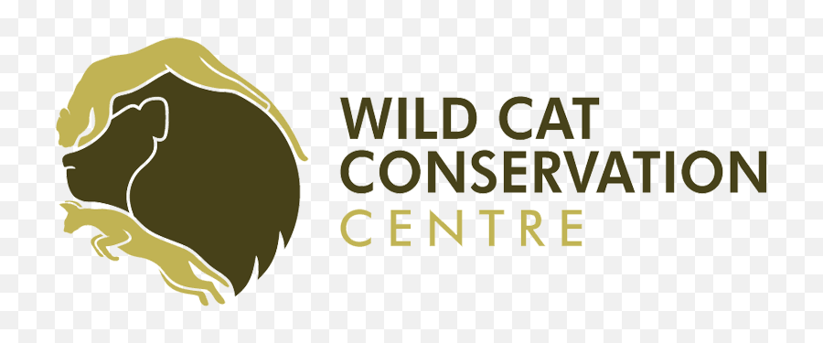 Wild Cat Cheetah Conservation - Wild Cat Conservation Logo Png,Cheetah Logo