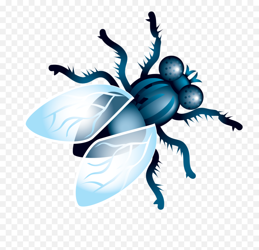 Fly Png Image - Fly Clipart Png,Fly Png