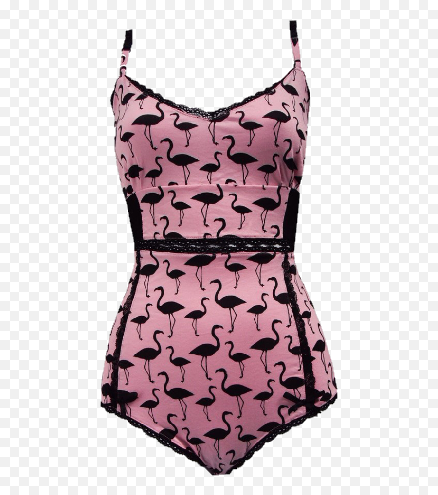 Png Bathingsuit Swimsuit Aesthetic Flamingos Cute Retro - Maillot,Swimsuit Png