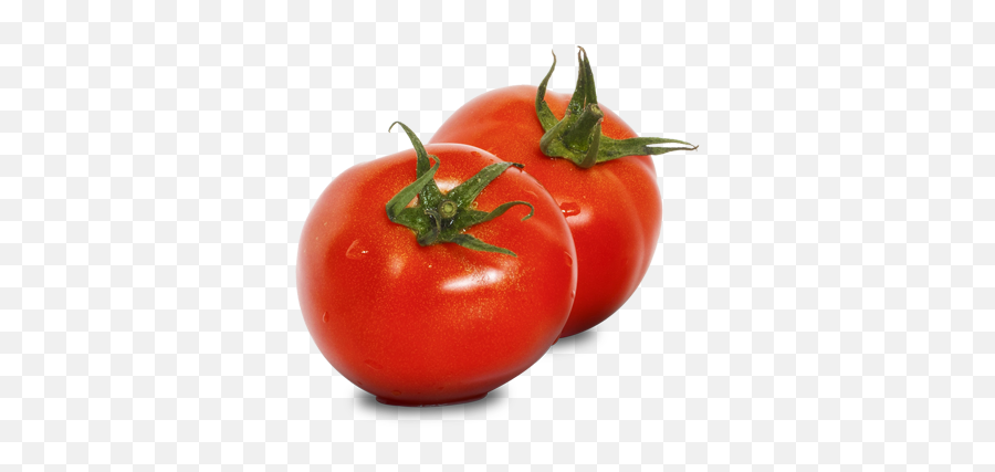 Tomato - Nutritional Information Whatu0027s In Season Bord Bia Clipart Png,Tomato Plant Png
