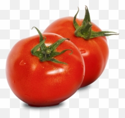 Tomato - Nutritional Information Whatu0027s In Season Bord Bia Clipart Png,Tomato Plant Png