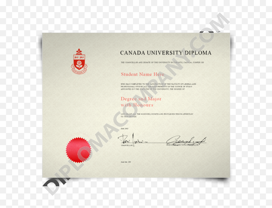 Diploma Png - Fake College Diploma Canada Fake Degree York University,Diploma Png