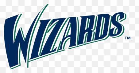 Fort Wayne Wizards Wordmark Logo - png