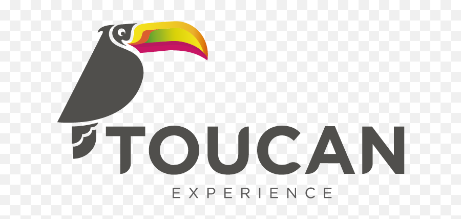 Home - Toucan Experience Cq Roll Call Png,Toucan Png