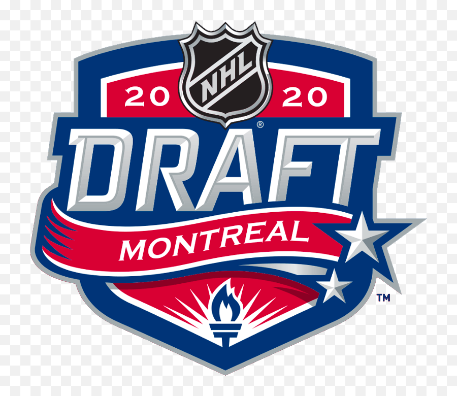 Nhl Draft Unused Logo - National Hockey League Nhl Chris 2020 Nhl Draft Png,Bruins Logo Png