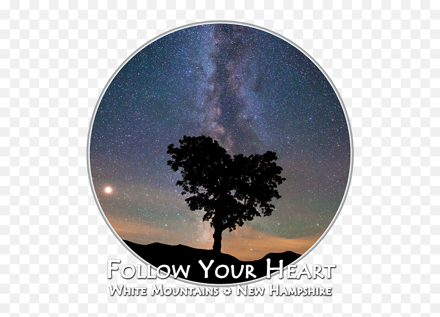 Follow Your Heart Transparent Background T - Shirt Tree Png,Transparent Background Heart