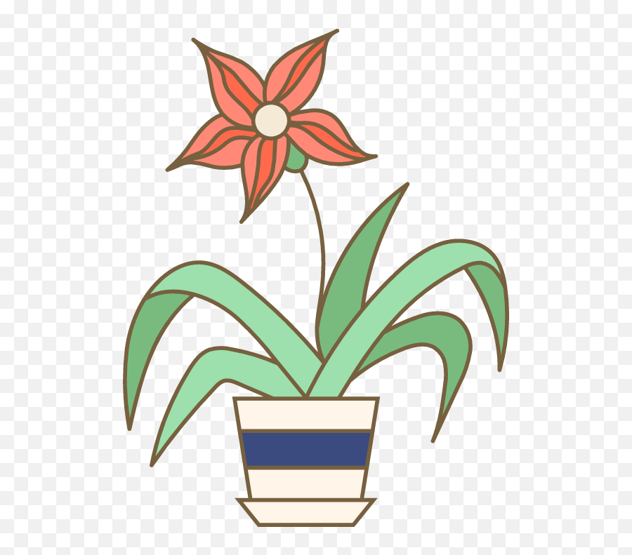 Potted Star Plant Graphic Picmonkey Graphics - Flowerpot Png,Potted Plant Png