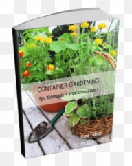 Container Gardening Tips Guide - Flowerpot Png,Gardener Png