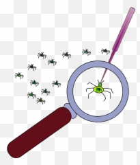 Magnifying Glass Bug Clipart Transparent Cartoon - Jingfm Debugging png