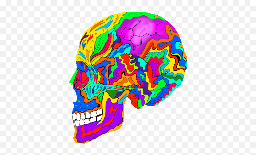 Download Hd Grunge Transparency And Tumblr Image - Skull Psychedelic Skull Art Png,Tumblr Transparent Grunge