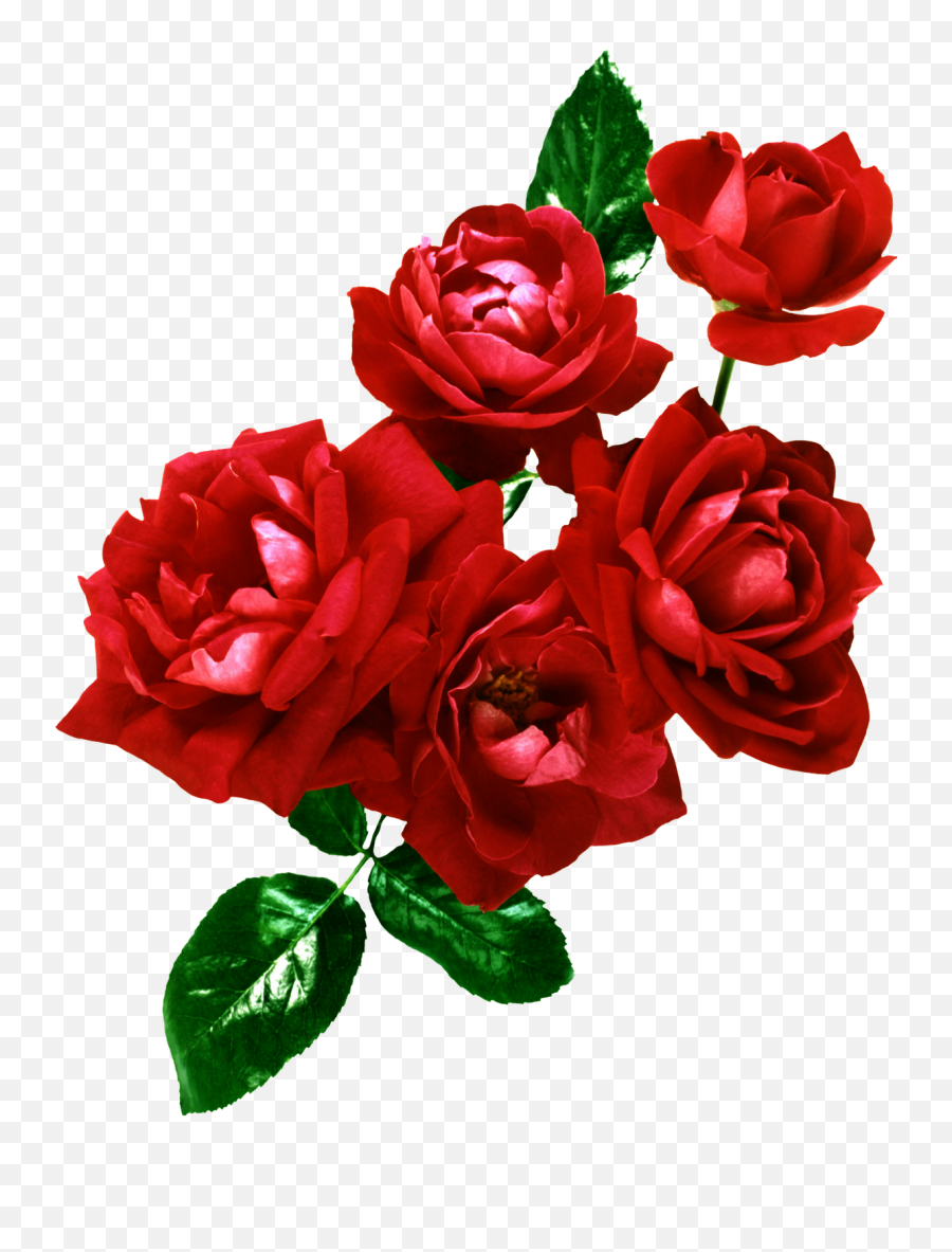 Fotos De Ramos Flores Gratis - Ramo De Flores Psd Png,Rosas Rojas Png -  free transparent png images - pngaaa.com