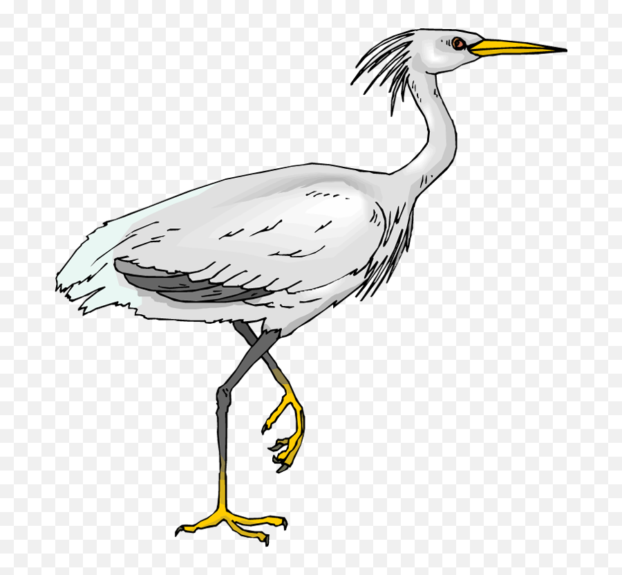 Download Picture Crane Bird Clipart - White Heron Clip Art Png,Crane Bird Png