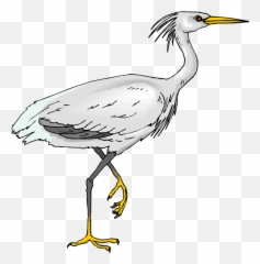 Download Picture Crane Bird Clipart - White Heron Clip Art Png,Crane Bird Png