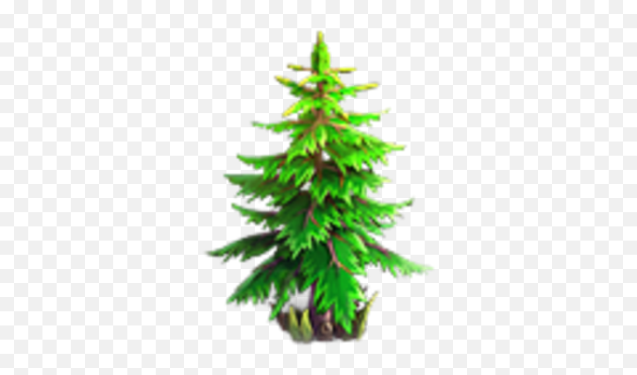 Tree Knights And Brides Wiki Fandom - Boreal Conifer Png,Christmas Tree Branch Png