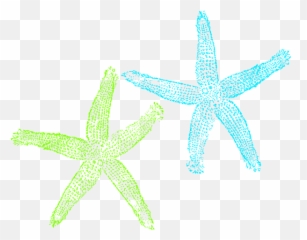Starfish Clipart Transparent U2013 Gclipartcom - Fish Clip Art Png,Starfish Transparent