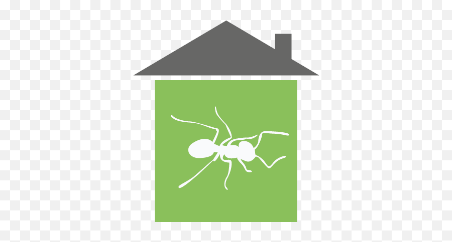 Hs Pests U2014 Rebuilding Together Houston Png Carptener Icon