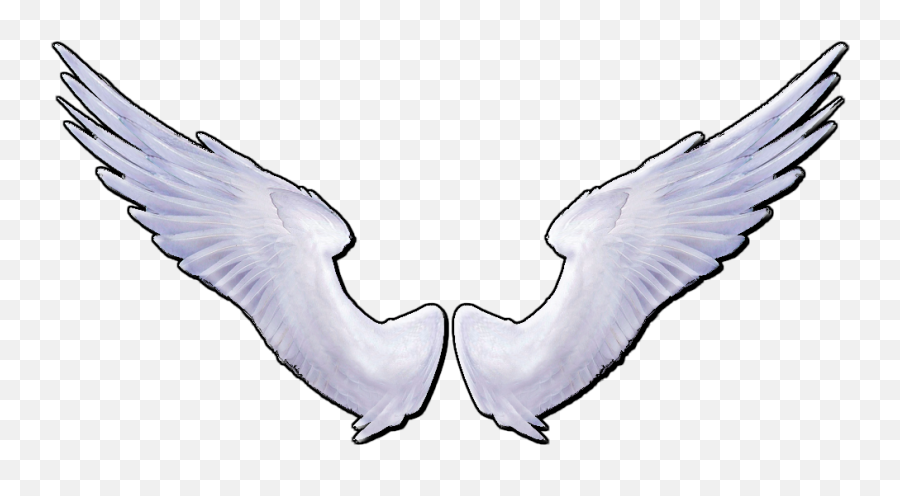 Download Angel Wings Png - White Angel Wings Png Image With Transparent Angel Wings No Background,Wings Png