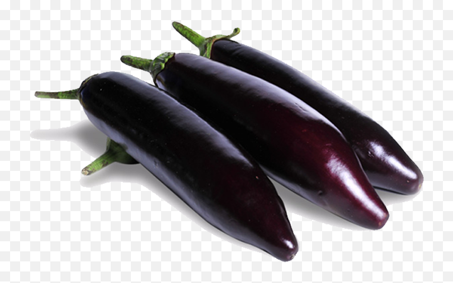 Talya Fresh Pala Eggplant - Patlican Kemer Png,Eggplant Transparent