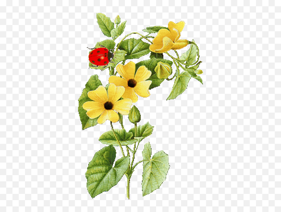 Flowers Transparent - Birds I Animated Flowers Gif Transparent Png,Flowers  Transparent - free transparent png images 
