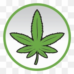 Vaporizer Info U2014 Helpful About Herb And Extract Vaping - Weed Leaf Cartoon png