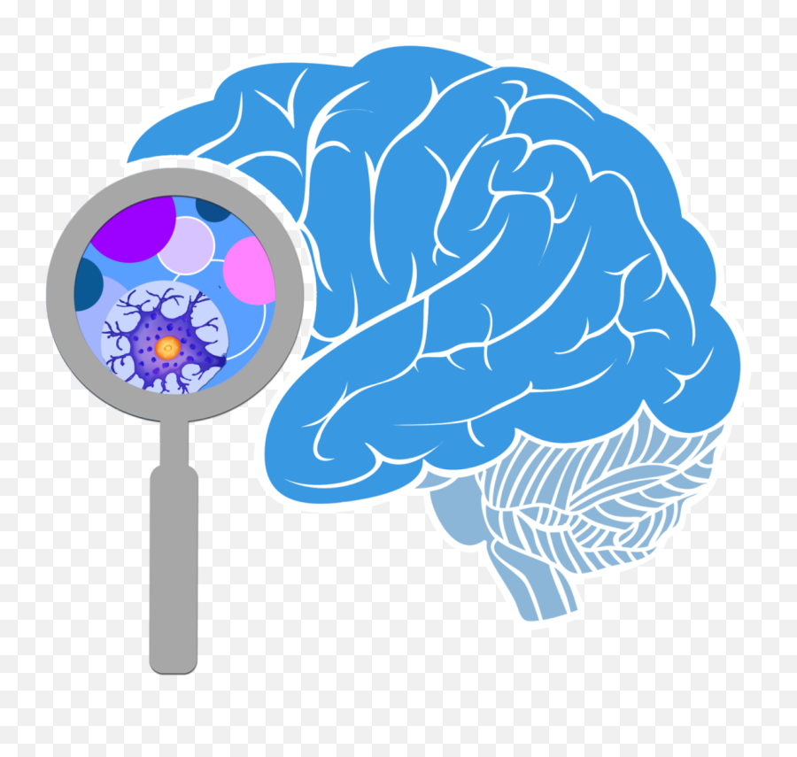 Brain Free Png Transparent Image - Png Transparent Brain Png,Brain Transparent Background