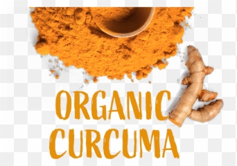 Organic Curcuma Turmeric Root Powder 125 G - Cacao Nibs Png,Turmeric Png