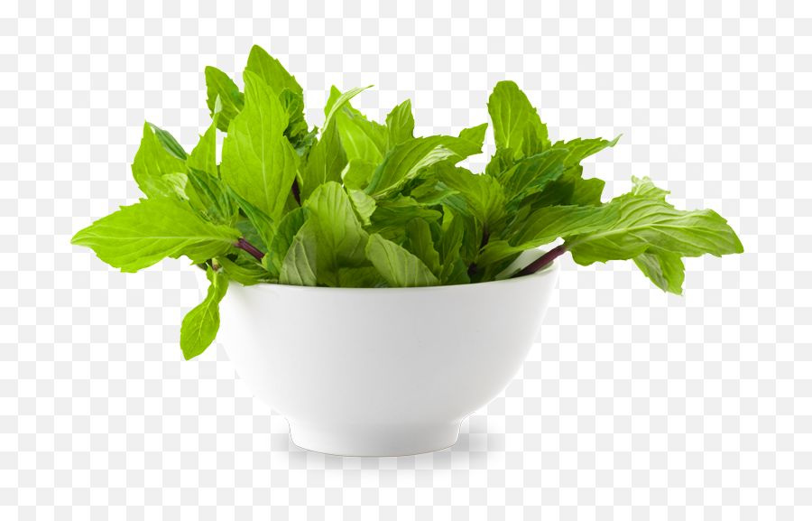 Mint Png Pictures Free Download - Mint Leaf In Bowl Png,Mint Leaf Png