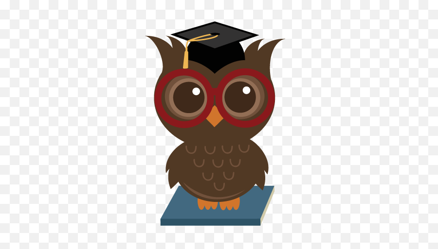 Png Wise Owl Transparent Owlpng Images Pluspng - Wise Owl Png,Owl Transparent