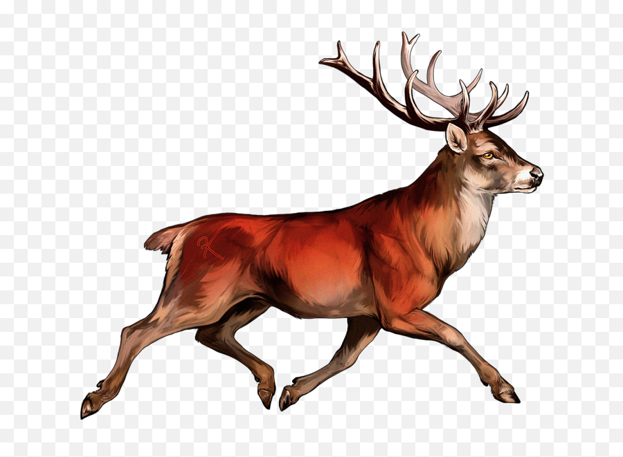 Red Deer Transparent U0026 Png Clipart Free Download - Ywd Red Deer Transparent,Deer Png