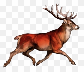 Red Deer Transparent U0026 Png Clipart Free Download - YWD