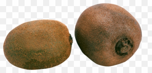 Download Kiwi Png Image For Free - 2 Kiwis Png,Kiwi Transparent