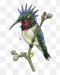 Download Free Png Sleeve Tattoo Image With Transparent - Simple Hummingbird Tattoos