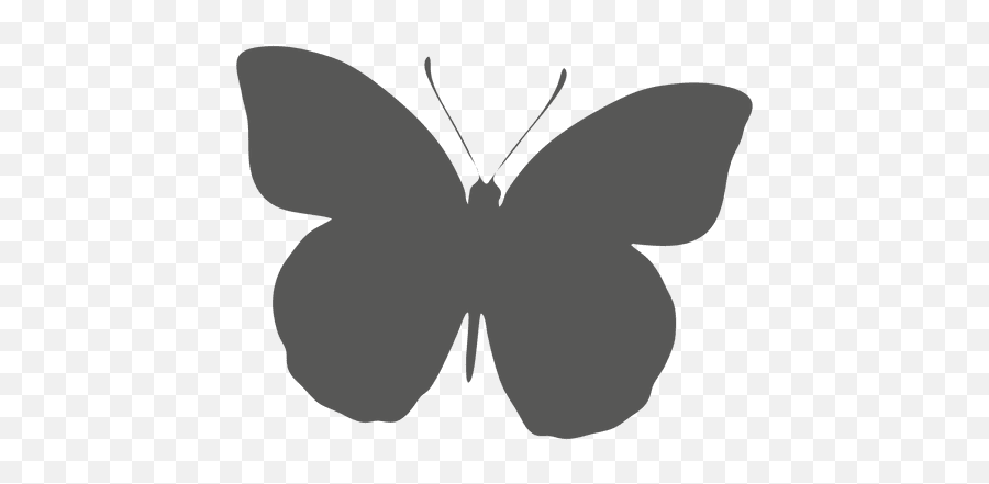 Butterfly Silhouette Icon - Mariposa Icono Png,Butterfly Silhouette Png