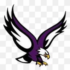 Bird Logos Colour Schemes Seahawks Eagles Color - Eau Eagle Boston College Mascot Png,Bird Logos