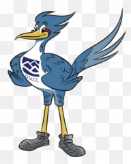 Road Runner Png - Clip Art Road Runners Cartoon,Road Runner Png