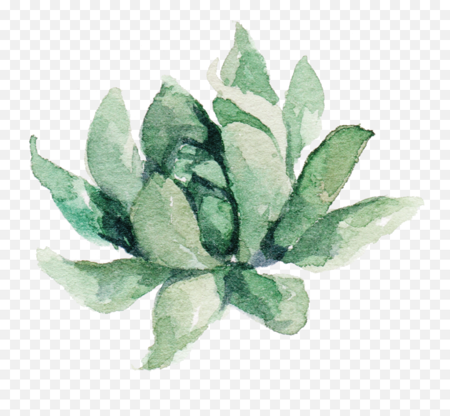 Clipart Free Transparent Succulent Watercolor - Aztec Fabric Transparent Watercolor Plant Png,Succulent Transparent Background