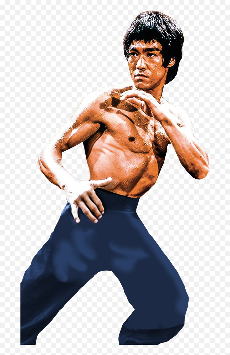 Bruce Lee Png - Bruce Lee Png,Bruce Lee Png