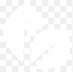 Download Hd Mint Leaf Dental - Eco Friendly Logo White Leaf White Logo Png,Mint Leaves Png