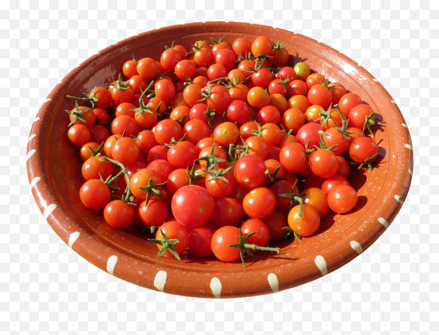 Shell Clay Bowl Tomatoes - Free Photo On Pixabay Bowl Of Tomatoes Transparent Png,Tomatoes Png
