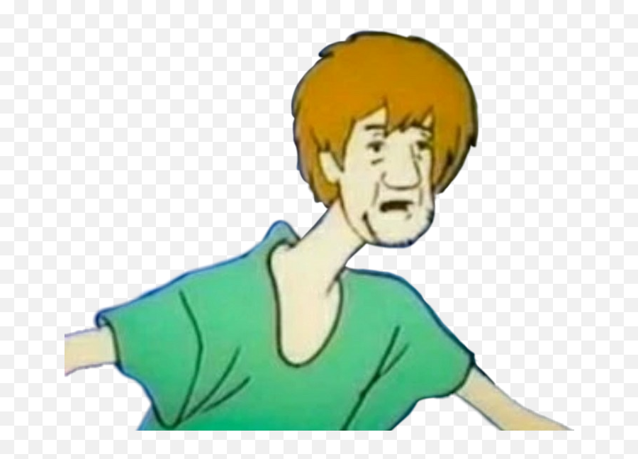 Whoa Shaggy Meme Wtf Stop Scoobydoo - You Reposted In The Wrong Neighborhood Png,Shaggy Transparent