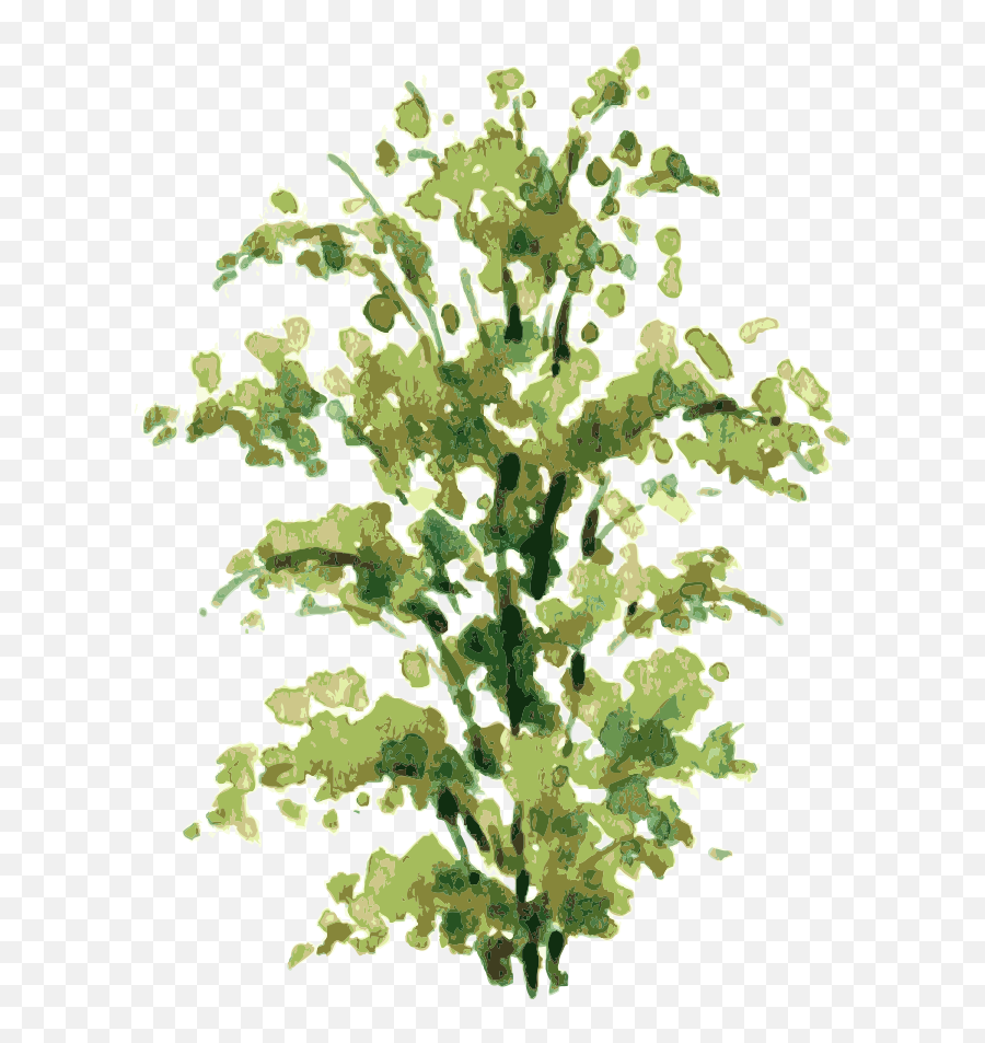 Download Clip Art Freeuse Library Shrub Drawing - Shrub Transparent Watercolor Plant Png,Shrub Transparent Background