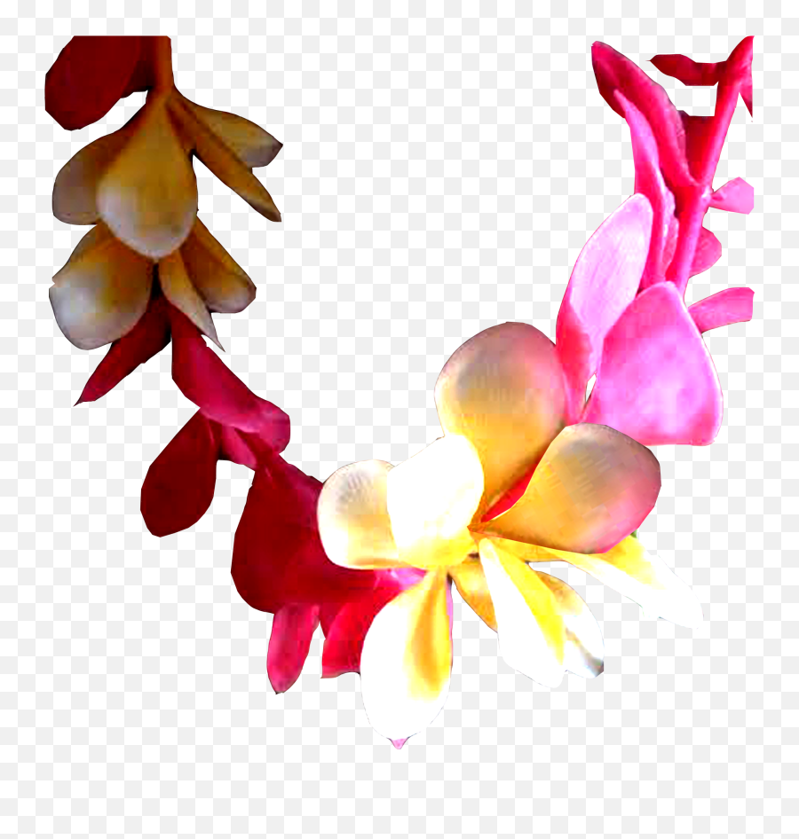 Piece Of Lei 2 - Aloha Full Size Png Download Seekpng Girly,Aloha Png